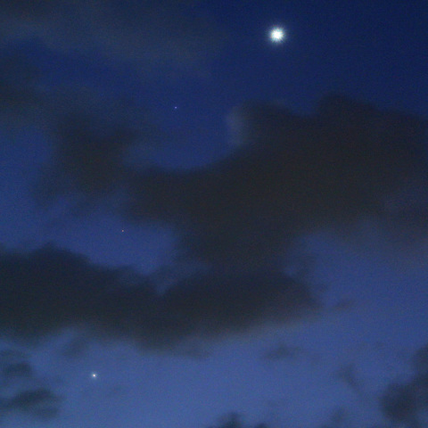 金星・レグルス・火星・木星の接近