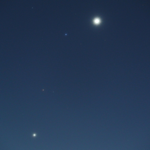 金星・レグルス・火星・木星の接近