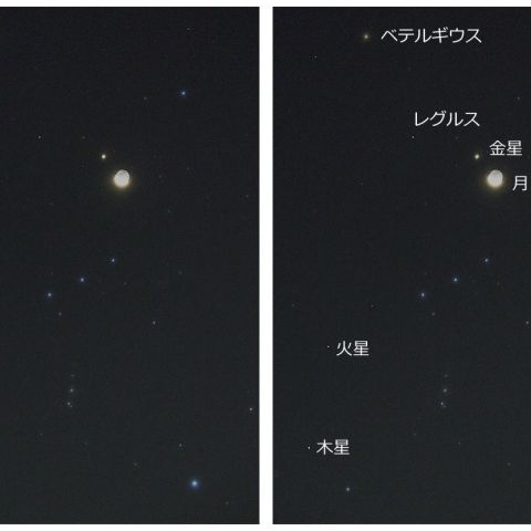 月と3惑星ランデブーのサイズをオリオン座と比較
