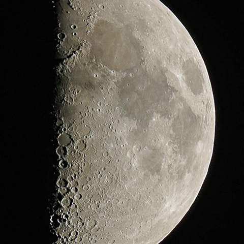 RegiStaxで合成した半月