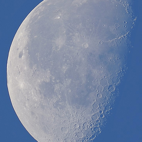 モーニングムーン