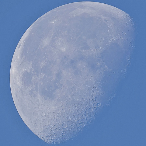 モーニングムーン