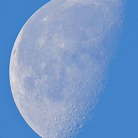 モーニングムーン