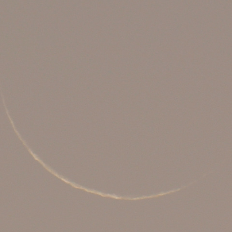 朝焼けに溶けゆく月