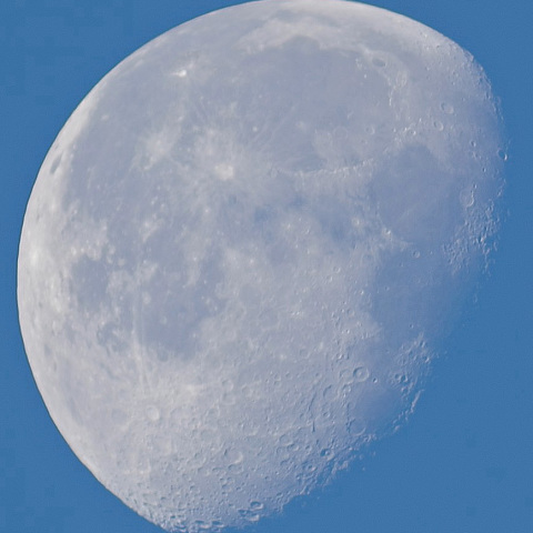 モーニングムーン