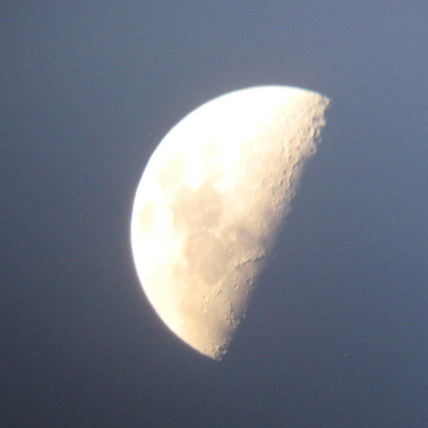 初めて撮った月