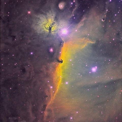 馬頭星雲付近(SHO)