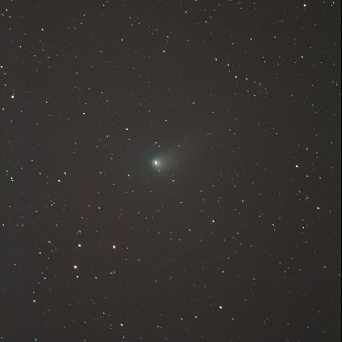 ジョンソン彗星（C/2015 V2）