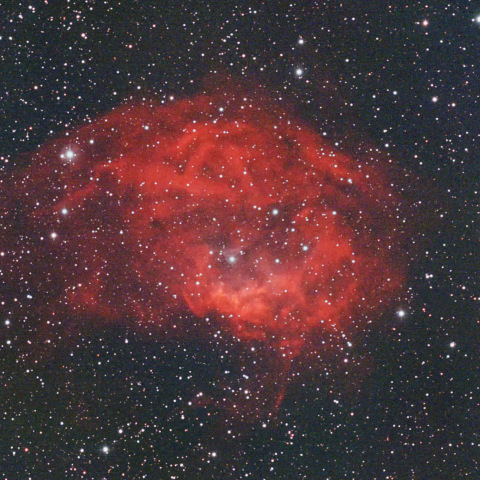 ローワーの星雲(Sh2-261)