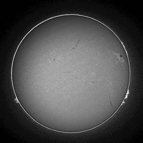 10-19 太陽(モノクロ Hα画像補正)