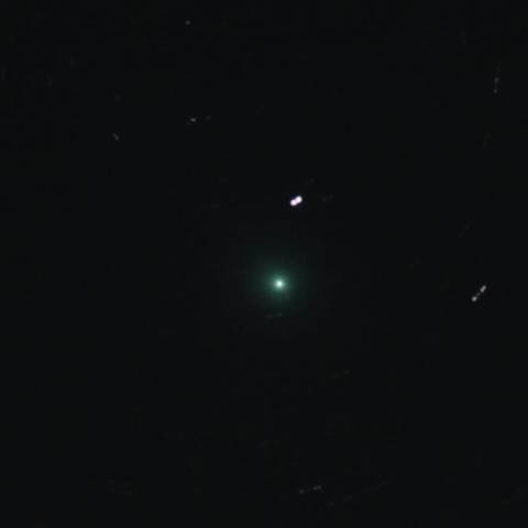 01-11 ラヴジョイ彗星