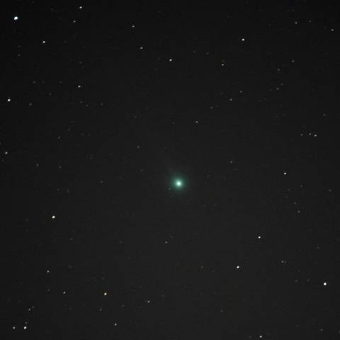 01-13 C/2014 Q2(Lovejoy)