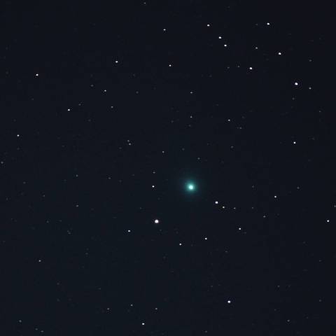 01-23 C/2014 Q2(Lovejoy)
