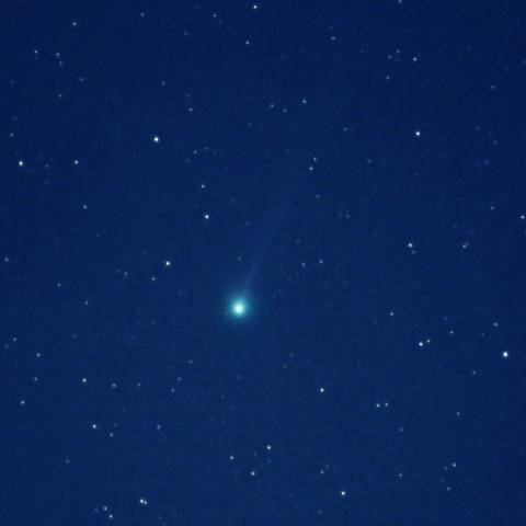 01-31 C/2014 Q2(Lovejoy)