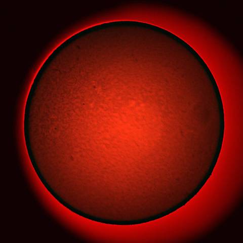 06-08 太陽（彩層面強調）