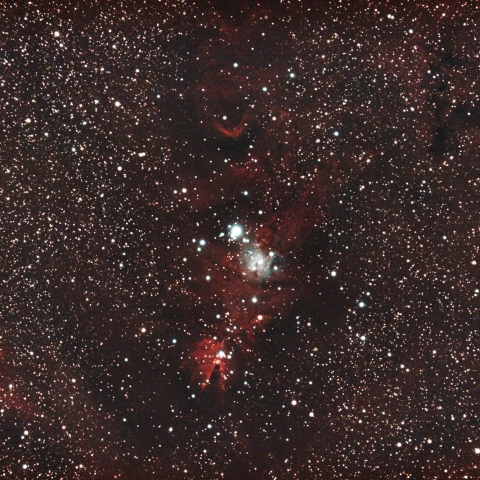 NGC2264