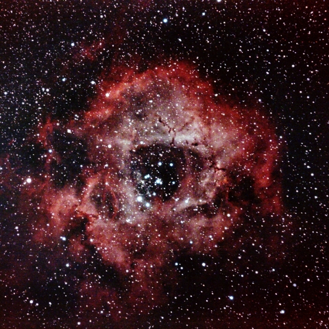 NGC2237 ばら星雲