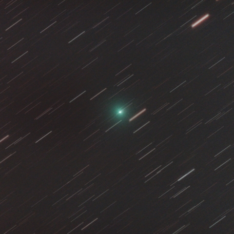 C/2018 Y1 岩本彗星