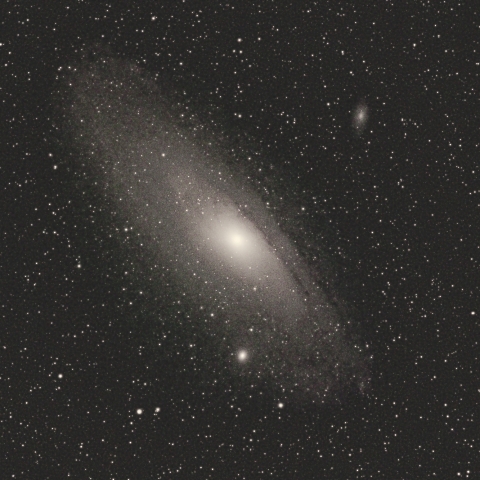 M31