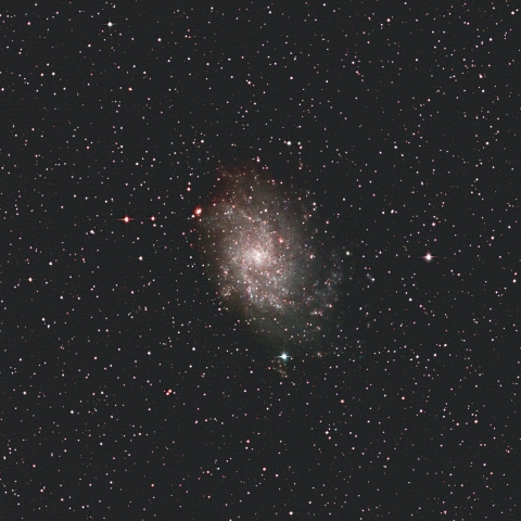 M33