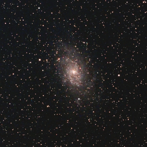 M33