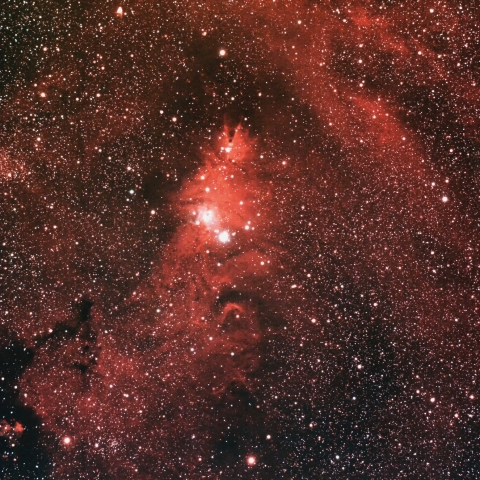 NGC2264 (クリスマスツリー星団とコーン星雲)