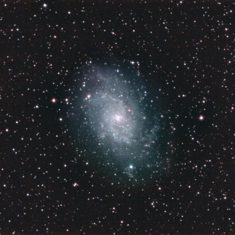 M33