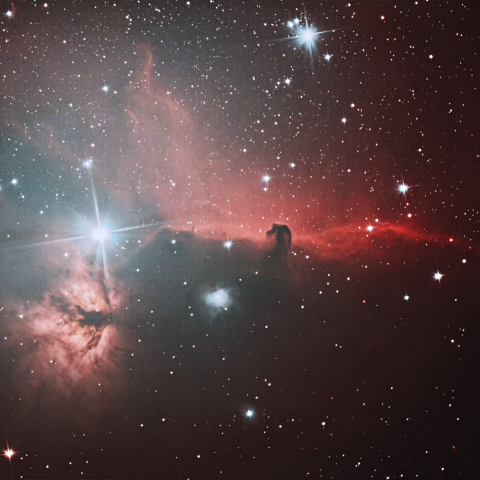 馬頭星雲(IC434)と燃える木(NGC2024)