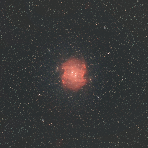 NGC2174 モンキーフェイス星雲 (コンポジット失敗)