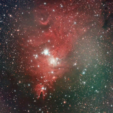 NGC2264 (クリスマスツリー星団とコーン星雲)