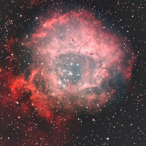 NGC2237 ばら星雲