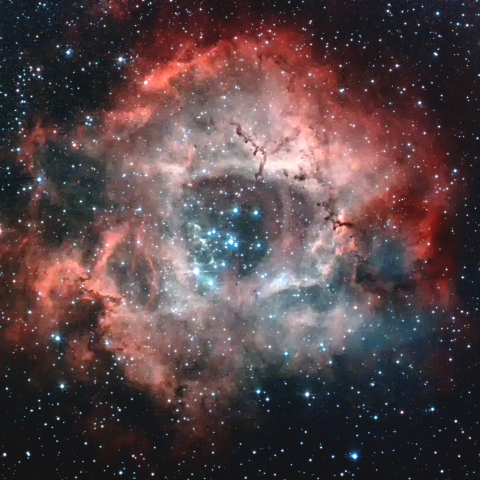 NGC2237 ばら星雲（再処理）