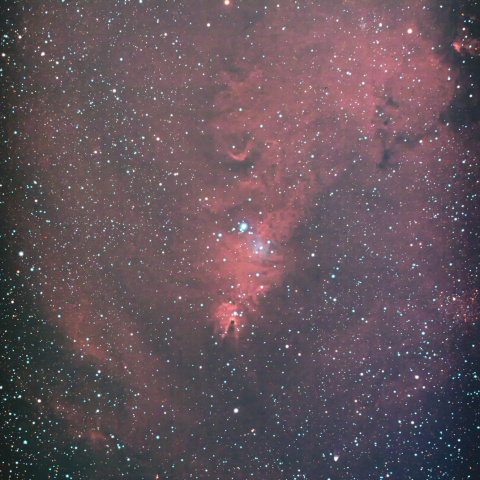 NGC2264 (クリスマスツリー星団とコーン星雲)