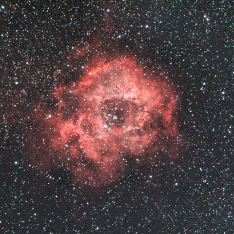 NGC2237 ばら星雲