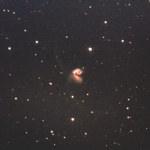 NGC4038 & NGC4039（アンテナ銀河）