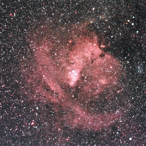 NGC2264周辺