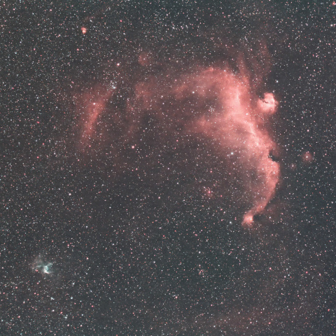 IC2177（かもめ星雲）&NGC2359（トールのヘルメット星雲）