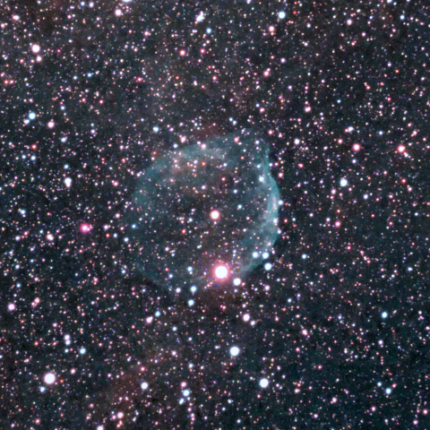 Sh2-308 ミルクポット星雲（ドルフィン星雲）