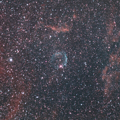 Sh2-308 ミルクポット星雲（ドルフィン星雲）トリミングなし