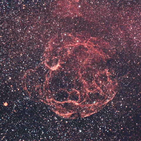 Sh2-240 レムナント（Simeis 147）