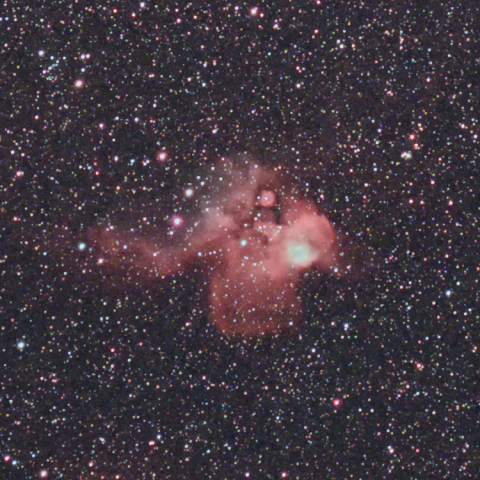NGC2467（マンドリル星雲 / スカル&クロスボーン星雲）トリミング