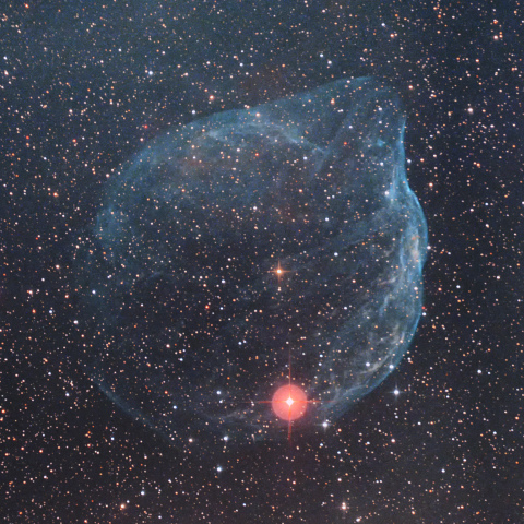 Sh2-308 （ミルクポット星雲/ドルフィン星雲）