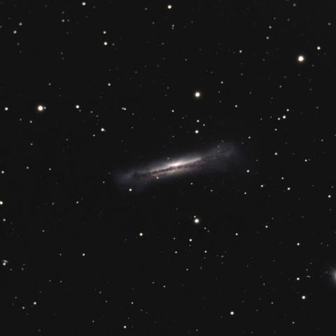 NGC3628