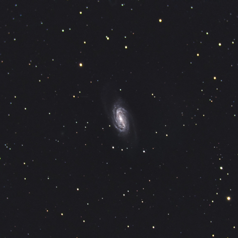 NGC2903
