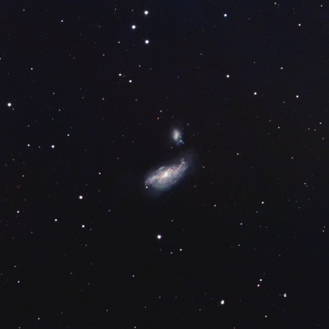 NGC4490 まゆ銀河