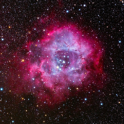 いっかくじゅう座　 バラ星雲