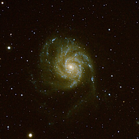 M101 