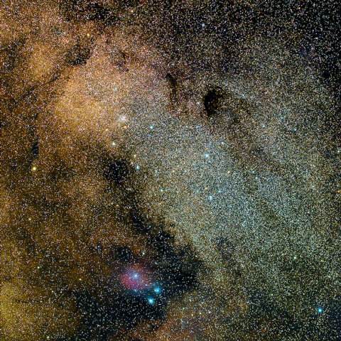  バンビの横顔・首飾り