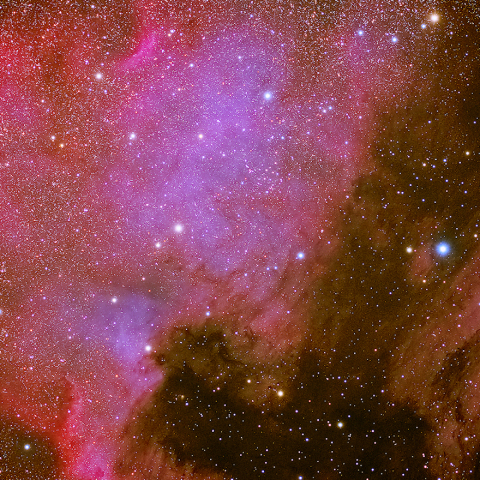 北アメリカ星雲・ペリカン星雲