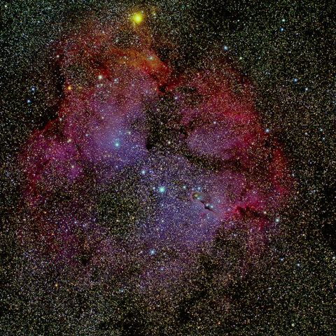 IC1396
